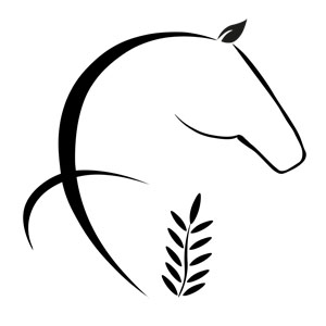 Mini logo Fanirina Ranch